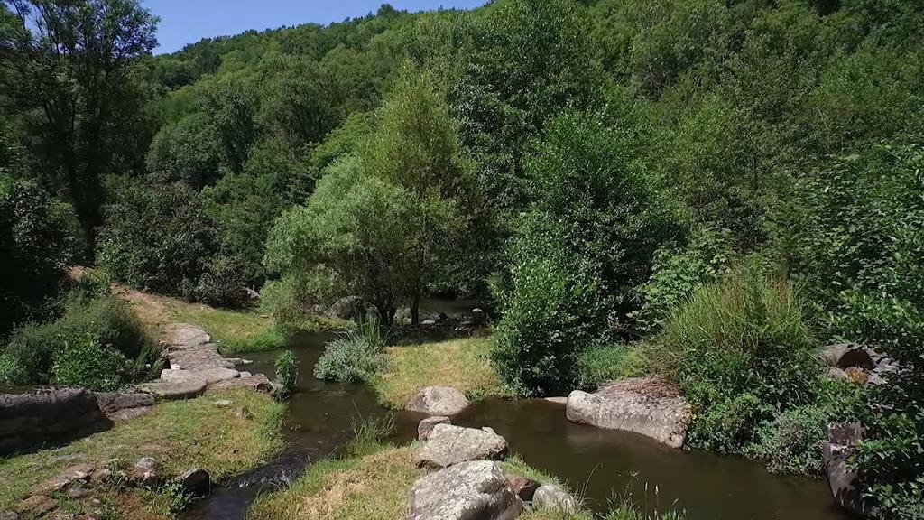Ferrieres Moulin De Record别墅 外观 照片