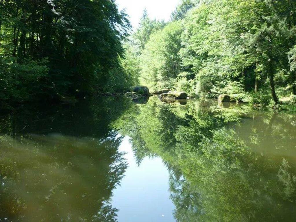 Ferrieres Moulin De Record别墅 外观 照片